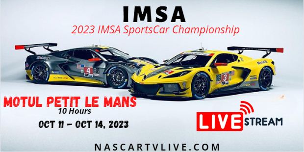 Motul Petit Le Mans 10 Hours Of Michelin Live Stream - IMSA